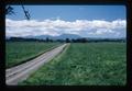 Grass seed field along Peoria highway, Oregon, 1975