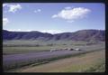 Pasture land along Interstate Highway 5, southwest Oregon, 1967