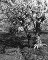 McDonald child in cherry orchard with dog