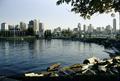 View (Vancouver, British Columbia)