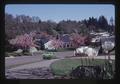 Scott Williams' home with flowering trees and white tulips, Corvallis, Oregon, April 1974