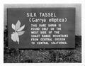 Sign describing Silk Tassel