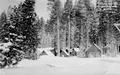 Cottages at Diamond Lake in winter