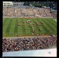 The OSU Marching Band in formation