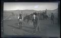 Horses in a corral