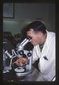 Dr. Stuart E. Knapp at microscope, circa 1966