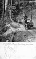 Electric Tramway, Bohemia Mine, Cottage Grove, Oregon