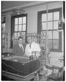 Elliott Marvell, Chemistry Department, and Joseph Butts, Agricultural Chemistry. May 1955