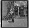 E. L. "Dad" Potter, Animal Husbandry professor, posing with a horse, May 1964