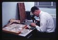 Dr. Julius Rudinsky viewing beetle collection with microscope, circa 1965