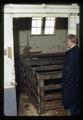 Swine pen in Veterinary Dairy Barn, Oregon State University, Corvallis, Oregon, circa 1970