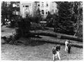 Columbus Day Storm 1962 - 1