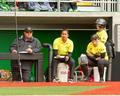 Softball bench, 2016