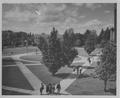 Campus Scenes; Memorial Quad: Daytime [2] (recto)