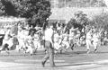 1983 Pennant celebration