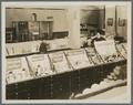 Various Pharmacy-related exhibits, circa 1930