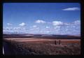 Wheat field and fallow field north of Pendleton, Oregon, 1977