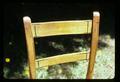 elk hide slat backed chair