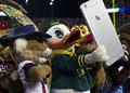 Duck mascot, 2014