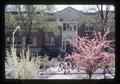 Flowering trees in front of old Forestry Building, Oregon State University, Corvallis, Oregon, 1976