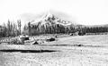 Farmstead and Mt. Hood