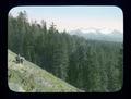 Diamond Peak from Pinto Mt. Trail, Cascade