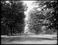 6th St., Portland, looking south from Morrison. Tree-lined area with auto and carriage in background.