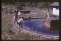 Oak Creek entomology observation ponds, Corvallis, Oregon, 1968