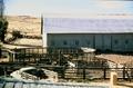 Imperial Stock Ranch Headquarters. Outbuilding (Shaniko, Oregon)