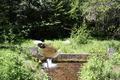 Glacier Irrigation Ditch, Middle Fork Irrigation District (Parkdale, Oregon)