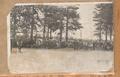 Large gathering of men, women and children under the tall pine trees, Merry Go Round in backgroundImage entitled ""Friend Picnic, 1918""