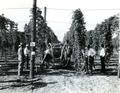 Hop pests and their control experimental hop duster