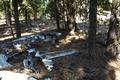 Governor Earl W. Snell Aircraft Crash Site (Lakeview, Oregon)