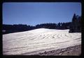 Stubble field and timber near Dawson, Oregon, 1967