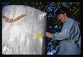 Judy Petrequin painting a totem pole, Oregon State University, Corvallis, Oregon, May 1970