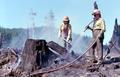 Firefighters after fire mopping up slash burn