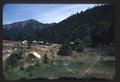 Edith's backyard, where she gathers many of her plants for dyes--studio is in far right background