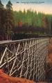 Trestle through timberbelt, Oregon