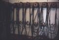 Bridles hanging on tack room wall