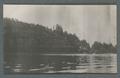 Railroad bridges viewed from the river, circa 1910