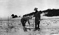 Planting Willows, Umpqua Flats Sand Dunes, Oregon