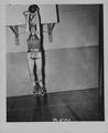 Basketball: Men's Tall Firs, 1938 - 39 Team, 1 of 2 [2] (recto)