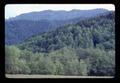 Coast Range forest near covered bridge between Triangle Lake and Swisshome, Oregon, 1974