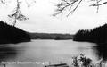 Showing Lake Tahkenitch from Highway 101