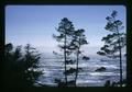 Pacific Ocean, Otter Crest, Oregon, circa 1973