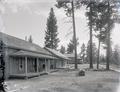 Frame houses in a logging camp?