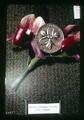 Closeup of Prince Edward Island Lady's Slipper Canada Flower medal, Eugene Coin Show, Eugene, Oregon, circa 1971