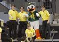 Duck mascot & the band, 2015