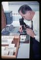 Dr. Julius Rudinsky examining bark beetle collection, circa 1965