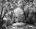 Field trip to yard of orchardist Paul Wallace, entrance garden gate